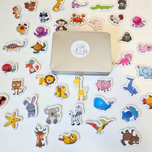 40pc Animal Magnet
